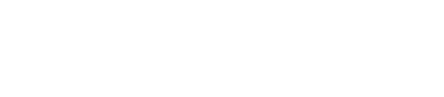Logo NordVPN blanc - parrainage MonCodeParrain
